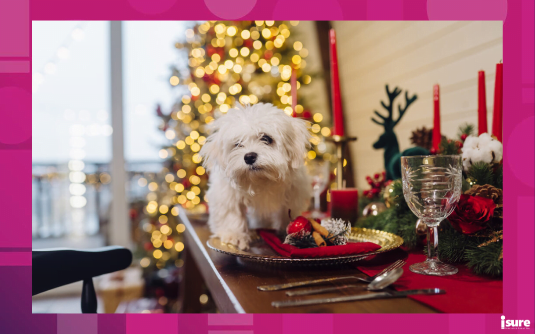 keep your pets safe during the holidays - little white dog on top of a christmas decorated table