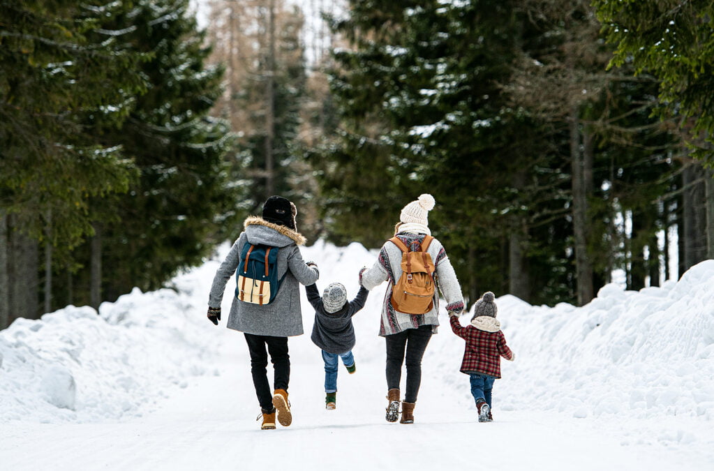 Rear view of family with two small children holding hands in winter nature, walking in the snow. Family Day