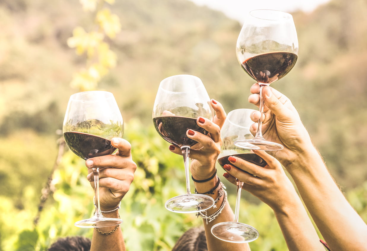 long-weekend destinations in ontario - Hands toasting red wine glass and friends having fun cheering at winetasting experience - Young people enjoying harvest time together at farmhouse vineyard countryside - Youth and friendship concept