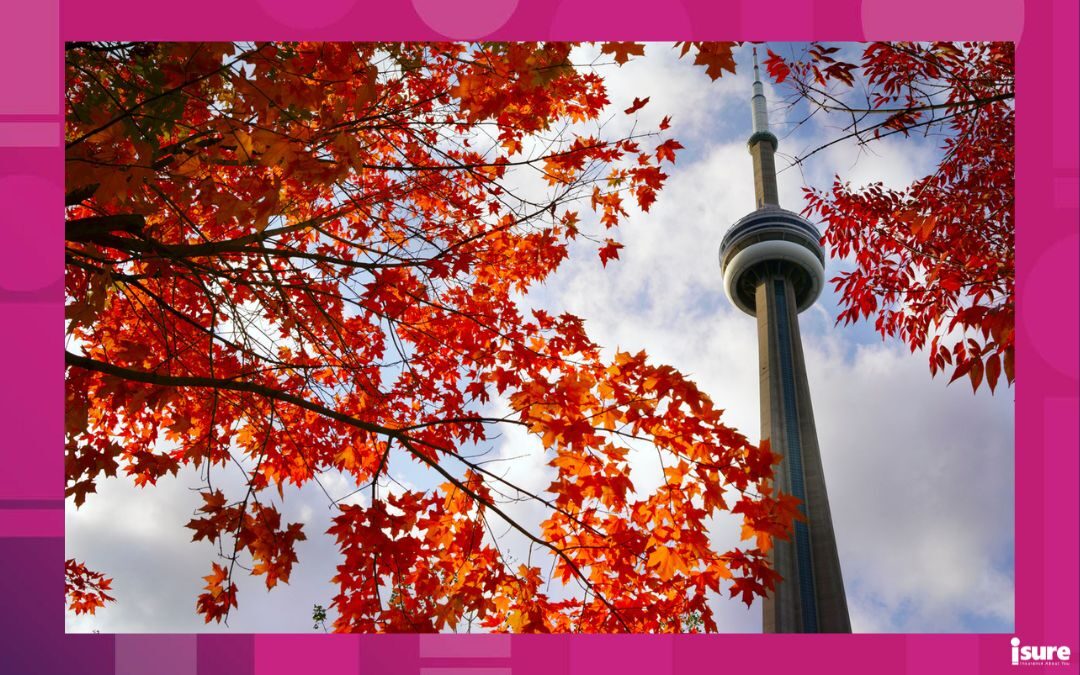 fall attractions in ontario - View of red maple tree and CN Tower in autumn on October