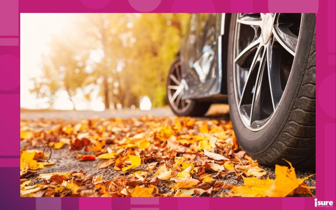 fall car maintenance - ar on asphalt road on autumn day at park. Colored leaves lying under the wheels of the vehicle.