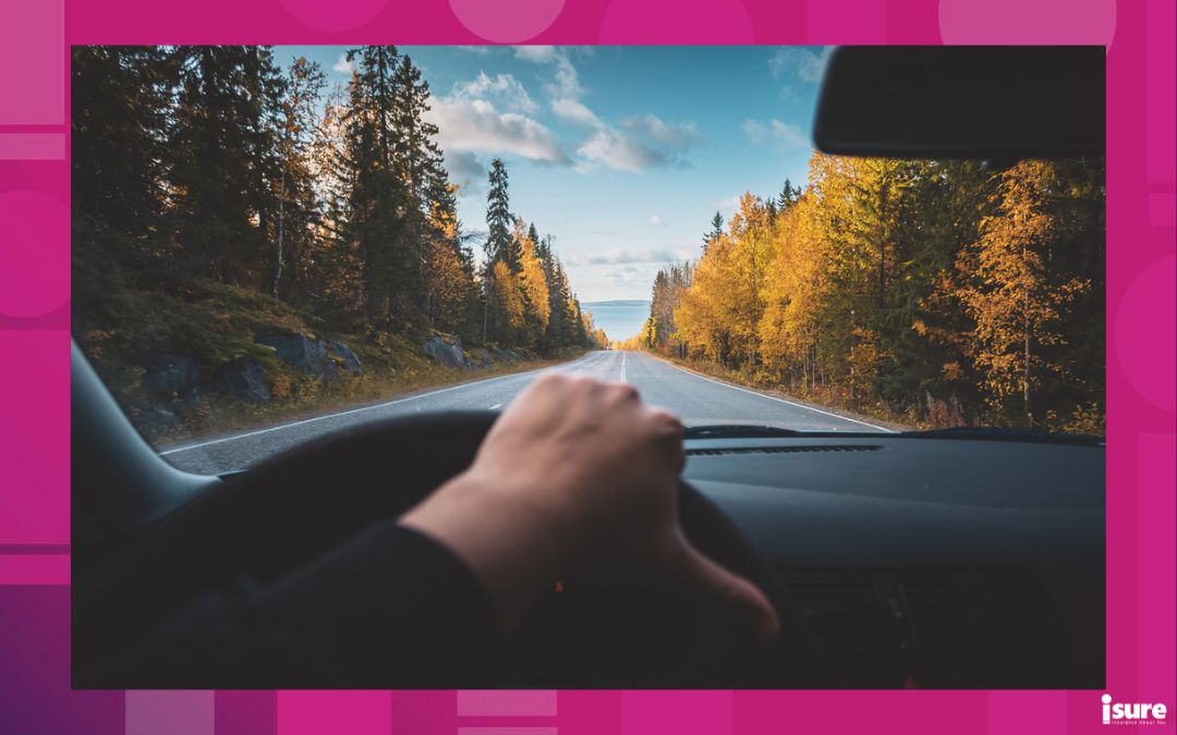 driving tips for fall - Autumn road view from the car's cab.