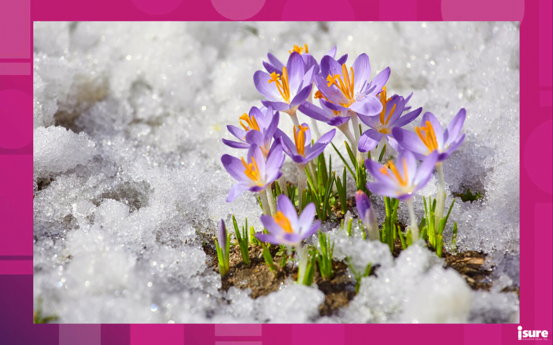 What is spring thaw and how does it affect your home?