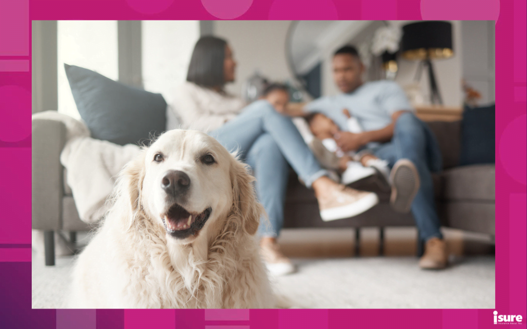 cost of owning a dog - A mixed race family of three relaxing on the sofa, loving black family being affectionate with their daughter. Young couple bonding while their adopted rescue dog is lying on a carpet