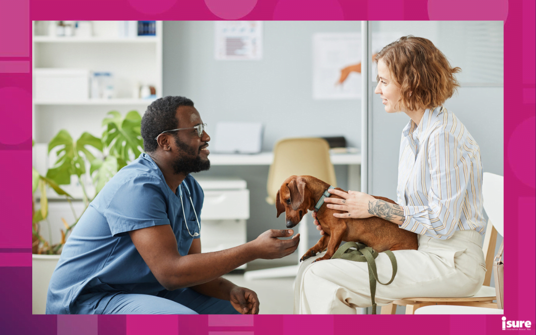 pet insurance - Happy young pet owner consulting with African-American male veterinarian in blue medical scrubs sitting on squats in front of her