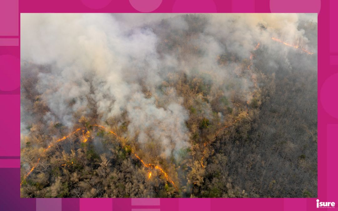 Canada wildfire - Bushfires in tropical forest release carbon dioxide (CO2) emissions and other greenhouse gases (GHG) that contribute to climate change.