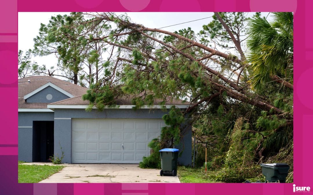 A tree that has fallen onto a home, damaging it. Showcasing common home insurance claims