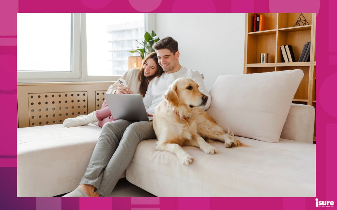 Portrait of happy young couple using laptop, man holding mobile phone, hugging dog, sitting together on comfortable sofa at home, looking at common home insurance terms