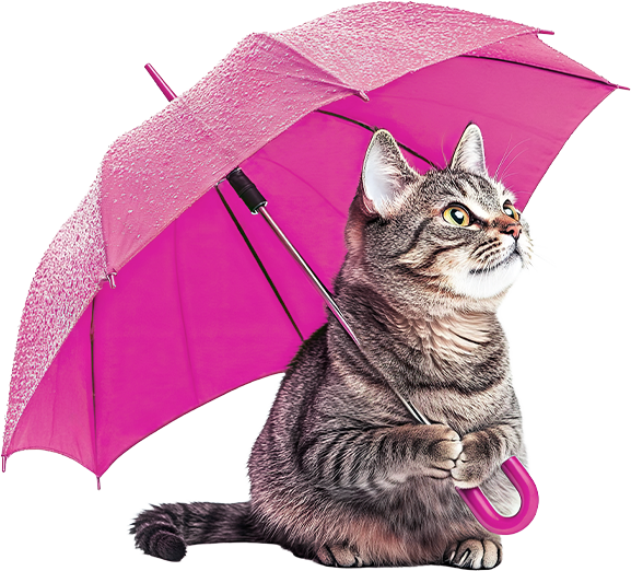 Pet Insurance Puts Care First Image