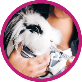Hereditary and Congenital Conditions Pet Insurance Coverage