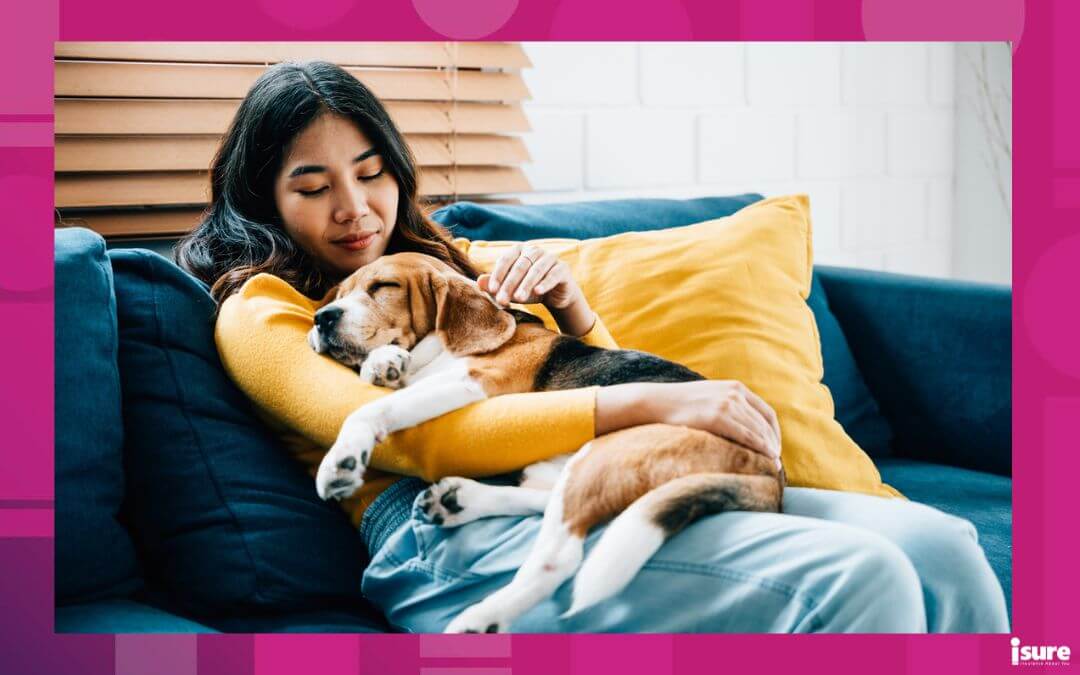 A heartwarming scene of togetherness, a woman and her Beagle puppy nap on the sofa in the living room, epitomizing the concept of trust, happiness, and love at home. Pet love and pet-proofing your home for ultimate safety.